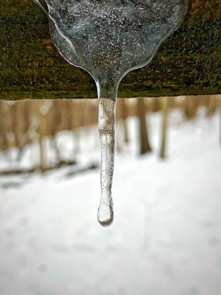 Icicle